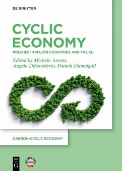 Cover Cyclic Economy (eBook, PDF)