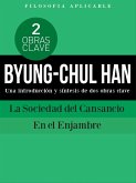 BYUNG-CHUL HAN: Una introducción y síntesis de dos obras clave La Sociedad del Cansancio y En el enjambre (eBook, ePUB)