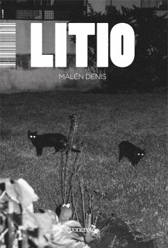 Cover Litio (eBook, ePUB)