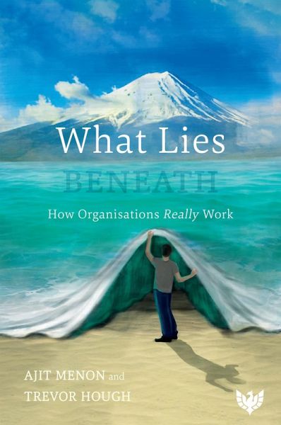 What Lies Beneath : How Organisations Really Work (eBook, PDF)