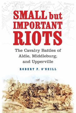 Cover Small but Important Riots (eBook, PDF)