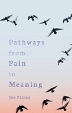 Pathways from Pain to Meaning (eBook, ePUB)