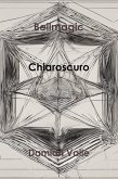 Chiaroscuro (eBook, ePUB)