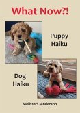 What Now?! (eBook, ePUB)