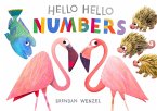 Hello Hello Numbers (eBook, ePUB)
