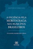 A eficiência pela meritocracia nos municípios brasileiros (eBook, ePUB)