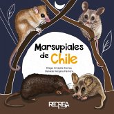 Marsupiales de Chile (eBook, ePUB)