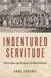 Indentured Servitude (eBook, ePUB) - Bild 1
