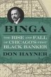 Binga (eBook, ePUB) - Bild 1