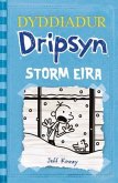 Dyddiadur Dripsyn: Storm Eira (eBook, PDF)