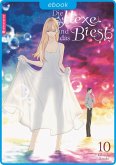Die Hexe und das Biest 10 (eBook, ePUB)