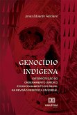 Genocídio Indígena (eBook, ePUB)