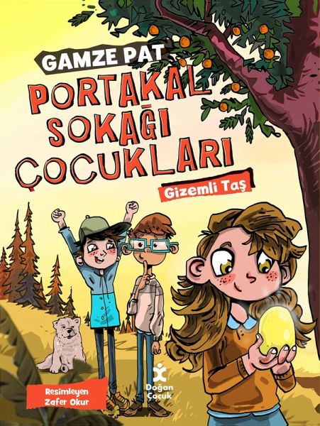 Portakal Sokagi Çocuklari - Gizemli Tas (eBook, ePUB)