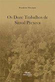 Os Doze Trabalhos de Sinval Prexeca (eBook, ePUB)