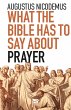 What the Bible Has To Say About Prayer... - Bild 1