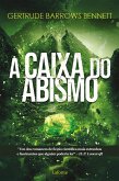 A Caixa do Abismo (eBook, ePUB)