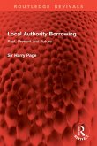 Local Authority Borrowing (eBook, ePUB)