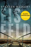 Eisfeld - Dunkle Enthüllungen (eBook, ePUB)