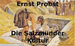 Cover Die Salzmünder Kultur (eBook, ePUB)