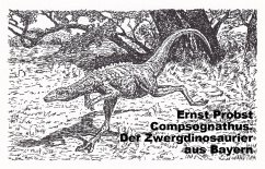 Cover Compsognathus. Der Zwergdinosaurier aus Bayern (eBook, ePUB)