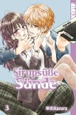 Sirupsüße Sünde, Band 03 (eBook, ePUB)