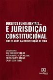 Direitos Fundamentais e Jurisdição Constitucional nos 35 anos da Constituição de 1988 (eBook, ePUB)