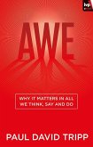 Awe (eBook, ePUB)