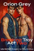 Breaking Troy: Act 2 [MM BDSM Straight-to-Gay Erotica] (eBook, ePUB)