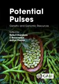 Potential Pulses (eBook, ePUB)