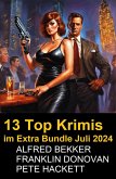 13 Top Krimis im Extra Bundle Juli 2024 (eBook, ePUB)