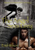 The Angel Sees Grey: Pleasure and Punishment for Mr. Darcy (eBook, ePUB)