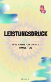Leistungsdruck (eBook, ePUB)