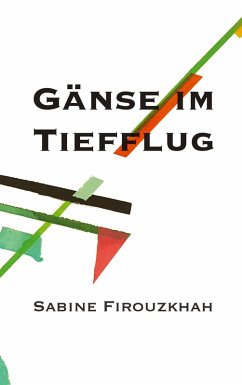 Gänse im Tiefflug (eBook, ePUB) Gänse im Tiefflug (eBook, ePUB)