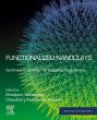 Functionalized Nanoclays (eBook, ePUB) - Bild 1