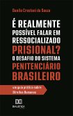 É Realmente Possível Falar em Ressocializado Prisional? O Desafio do Sistema Penitenciário Brasileiro (eBook, ePUB)