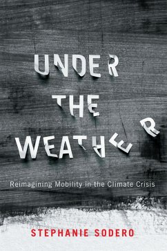 Cover Under the Weather (eBook, ePUB)