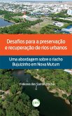 Desafios para a preservação e recuperação de rios urbanos (eBook, ePUB) Desafios para a preservação e recuperação de rios urbanos (eBook, ePUB)