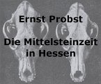 Die Mittelsteinzeit in Hessen (eBook, ePUB)