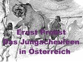 Das Jungacheuléen in Österreich (eBook, ePUB) Das Jungacheuléen in Österreich (eBook, ePUB)