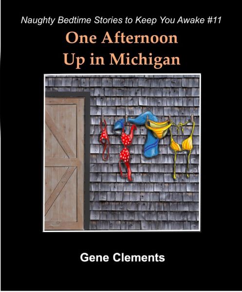 One Afternoon Up in Michigan (Naughty Bedtime Stories to Keep You Awake, #11) (eBook, ePUB)