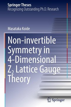 Non-invertible Symmetry in 4-Dimensional Z2 Lattice Gauge Theory - Koide, Masataka