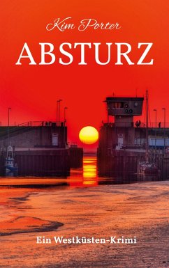 Cover Absturz