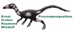Procompsognathus (eBook, ePUB) - Probst, Ernst; Windolf, Raymund