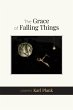 The Grace of Falling Things - Bild 1
