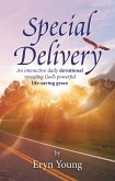 Special Delivery (eBook, ePUB)
