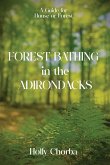 FOREST BATHING in the ADIRONDACKS FOREST BATHING in the ADIRONDACKS
