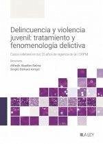 Cover Delincuencia y violencia juvenil: tratamiento y fenomenología delictiva