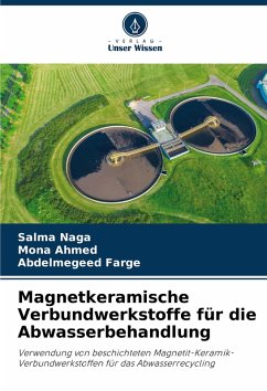 Cover Magnetkeramische Verbundwerkstoffe für die Abwasserbehandlung