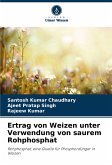 Ertrag von Weizen unter Verwendung von saurem Rohphosphat