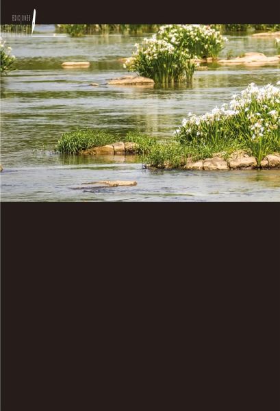 Cuentas de las enfermeras psiquiátricas:Creación de un entorno de aprendizaje clínico